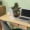 bümö plants Kunstpflanze Bonsai Bäumchen Produktbild-Vorschau 6