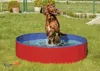 A dog is playing in a red and blue dog pool in a grassy yard. Anteprima dell’immagine prodotto