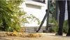 BOSCH Home & Garden 06008A0601 PROMOZIONE: BOSCH Home & Anteprima dell’immagine prodotto 13