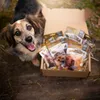 Akinu MASÍČKA BOX Pamlsek pro psy Náhled obrázku produktu 4