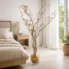 Korkenzieherzweige natur 3 Stück 100–120cm | Deko Äste Vase Produktbild-Vorschau 6