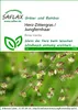 SAFLAX - Herz-Zittergras / Jungfernhaar - Briza media - 75 Produktbild-Vorschau 5