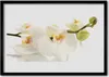 Bild 100x70 MDF-Rahmen Wandkunst Blumen Pflanzen Natur Produktbild-Vorschau 1