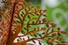 Metall Rost Gartendeko Edelrost rostige Garden Rost Deko Produktbild-Vorschau 2