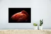 MuchoWow® Poster Flamingo - Federn - Rosa 30x20 cm - Produktbild-Vorschau 5