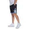 Orlando Magic 94-95 NBA Mitchell & Ness Swingman Shorts Produktbild-Vorschau 4