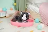 Zapf Creation BABY born My cat Cookie z pudełkiem Podgląd zdjęcia produktu 15