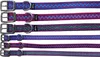 Hundehalsband Electra Choice aus Nylon 2,5 cm breit Produktbild-Vorschau 1