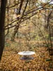 Krmítko pro ptáky BIRDYFEED ROUND šedý kámen 29,4cm Náhled obrázku produktu 7