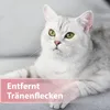 Augenpflege Felisept® Augenpflege Pads für Katzen Dose 100 Produktbild-Vorschau 4