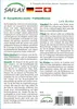 SAFLAX  - Mélèze d'Europe - 75 graines - Larix Voir les images du produit 6