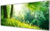 Acrylglasbilder 125x50 Wandbild Druck Wiese Natur Produktbild-Vorschau 1