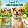 2 Pcs Hunde Zeckenhalsband  für Hunde bei Spaziergang & Produktbild-Vorschau 7