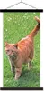 MuchoWow® Textilposter Katze - Rot - Katze - Mädchen - Produktbild-Vorschau 1