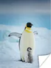 MuchoWow® Poster Kaiserpinguin mit Jungen 90x120 cm - Produktbild-Vorschau 1