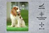 Podložka pod myš - Sedící kavalír King Charles španěl - Náhled obrázku produktu 2