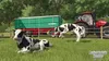 Landwirtschafts-Simulator  NSW2  AT  (SSK)  Signature Produktbild-Vorschau 2