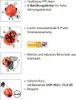 Oregon Forsthelm Forst Schutzhelm YUKON 55-62 cm orange normgerecht 183834 562412 5400182979876 schutzhelmkombination Sicherheit Waldarbeit Persönliche Schutzausrüstung Forst Waldarbeiten Holzernte Holzschnitt Produktbild-Vorschau