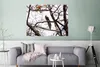 MuchoWow® Poster Indischer Pfau auf einem Baum 120x90 cm - Produktbild-Vorschau 5