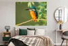 MuchoWow® Poster Vogel - Eisvogel - Zweig - Blätter - Moos Produktbild-Vorschau 4