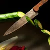 COM-FOUR® Premium Messerschärfer mit 4 Stufen, auch für Produktbild-Vorschau 7