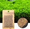 10 g Easy Water Aquatic Live Grow Semi di piante Acquario Anteprima dell’immagine prodotto 2