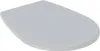 A light gray toilet seat with a lid, shown from a diagonal top-down perspective on a white background. Anteprima dell’immagine prodotto