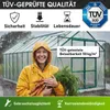 BRAST Gewächshaus Aluminium mit Fundament | 430x250x205cm | Produktbild-Vorschau 3
