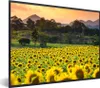 MuchoWow® Gerahmtes Poster Sonnenblume - Natur - Berg 80x60 Produktbild-Vorschau 1