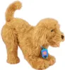 Moji Labradoodle Spielzeug Welpe - ca. 35 cm Produktbild-Vorschau 3