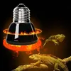 Terrario ReptiWarm 25W - mini emiter ciepła Terrario Podgląd zdjęcia produktu 12