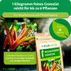 Purgrün -Rhabarber-Dünger 1 kg, Produktbild-Vorschau 4
