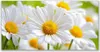 Tulup Leinwand-Bilder 140x70 Wandbild Canvas Kunstdruck Produktbild-Vorschau 1