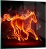 Bilder auf glas - Pferd Illustration Flammen - 50x50cm - Produktbild-Vorschau 1