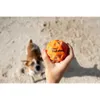 Waboba Woof Pack Hundespielzeug Set Wurfscheibe Sprungball Produktbild-Vorschau 16