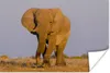 MuchoWow® Poster Afrikanischer Elefant im Sand 180x120 cm - Produktbild-Vorschau 2