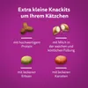 Marketing image showing different types of cat treats with descriptions. Produktbild-Vorschau