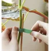 Gardlov 25362 Pflanzenband 500 cm, grün Produktbild-Vorschau 5