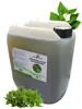 GreenPanda Brennnessel Jauche 10 Liter - Brennnessel Sud -  Produktbild-Vorschau 1