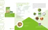 Suibianguo Grüne Pflaumen - Kandiert - Candied plums Produktbild-Vorschau 4