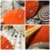 Bilder auf glas - Seashell Meer Strand Sand - 120x80cm - Produktbild-Vorschau 8