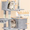 A cat tree with two cats, one wearing glasses, with dimensions indicated. Podgląd zdjęcia produktu