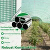 LZQ Gewächshaus 400×300×200 cm, 12 m² Foliengewächshaus aus Produktbild-Vorschau 4
