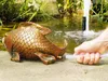 Heissner Teichfigur großer Fisch (003291-00) Produktbild-Vorschau 5