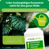 Purgrün Monstera-Deliciosa-Dünger 1 Liter Produktbild-Vorschau 4