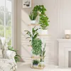 Bamworld Pflanzenständer Blumenständer Innen 6-stufiges Produktbild-Vorschau 4