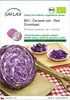 SAFLAX - BIO - Červené zelí - Red Drumhead - Brassica Náhled obrázku produktu 1