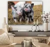 MuchoWow® - Leinwandbilder - Schwein - Tiere - Ferkel, Produktbild-Vorschau 7