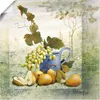 ARTland Poster Birnenernte Größe: 40x40 cm Produktbild-Vorschau 1