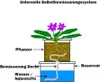 Diagram showing a self-watering plant pot system. Produktbild-Vorschau